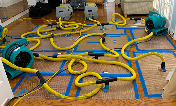 Professional Crawl Space Water Removal technician working in Hackettstown, NJ